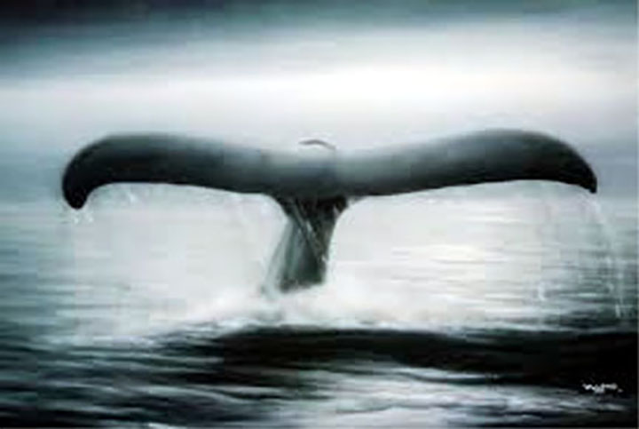 Wyland - Tails Of Great Whales - Limited Edition Lithograph