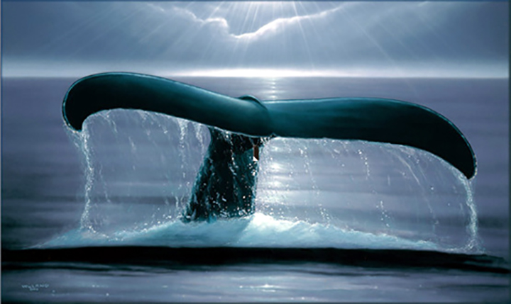 Wyland - Whale Sighting - Limited Edition Giclee on Canvas