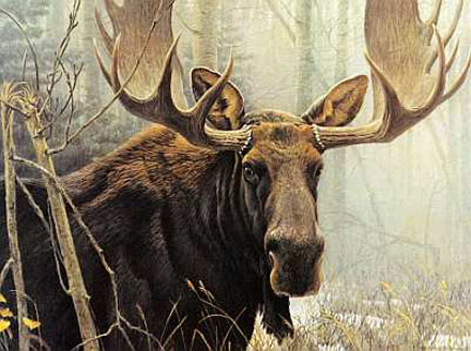 Herndon Fine Art offers authenticated Robert Bateman fine art, including rare hand-signed limited edition prints, original acrylics, and wildlife graphics.