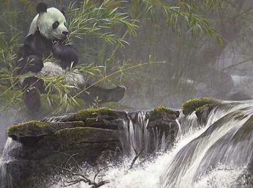 Robert Bateman - Giant Panda - Limited Edition Lithograph