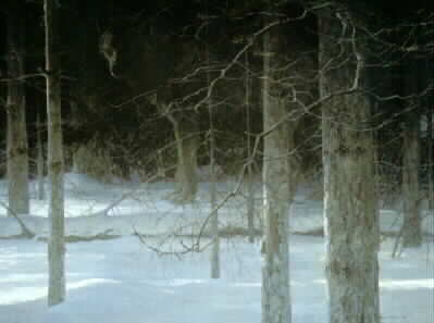 Robert Bateman - Midnight-Black Wolf - Limited Edition Lithograph