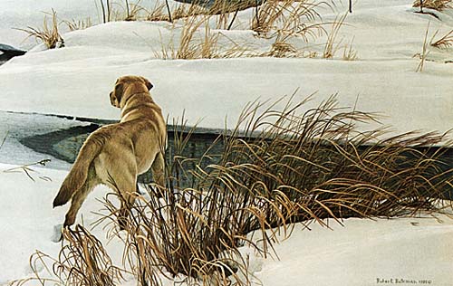 Robert Bateman - Winter Companion - Limited Edition Lithograph