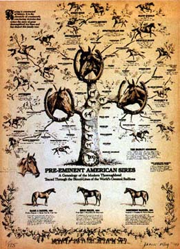Jenness Cortez - Thoroughbred Genealogy - Limited Edition Etching