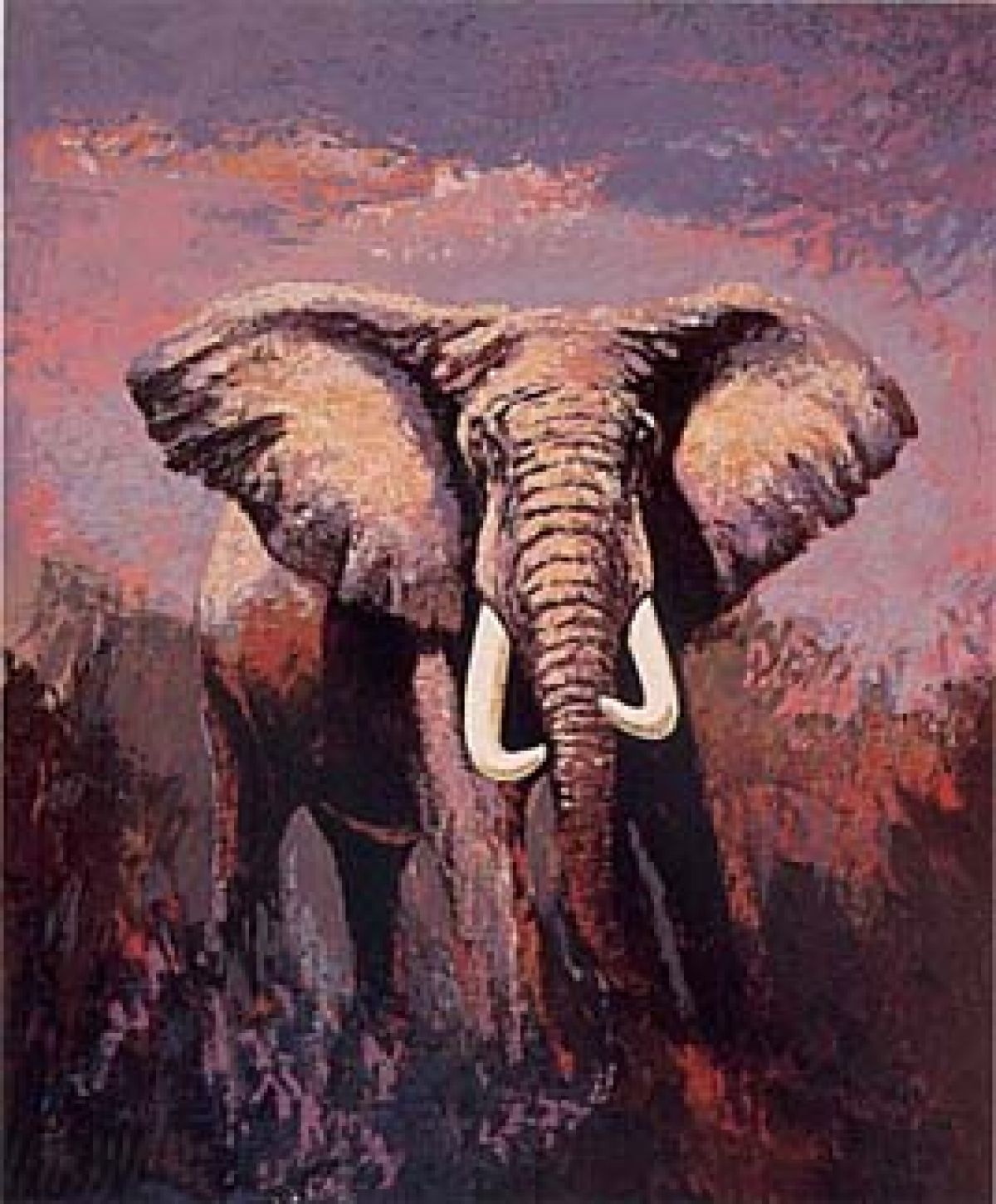 Mark King - Lone Tusker - Limited Edition Serigraph