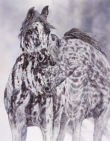 Judy Larson - A Time to Heal - Limited Edition Lithograph