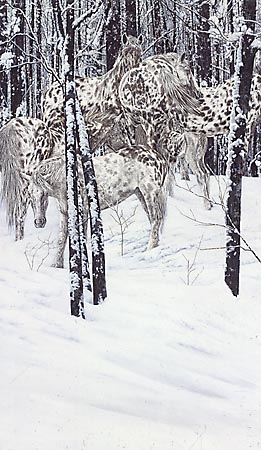 Judy Larson - And Then There Were None - Limited Edition Lithograph