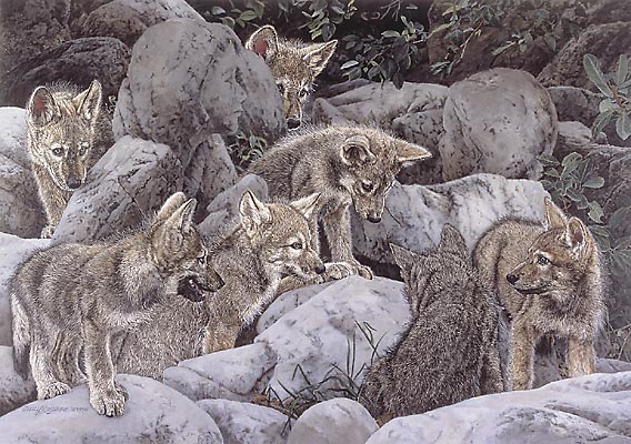 Judy Larson - Child's Play - Limited Edition Lithograph