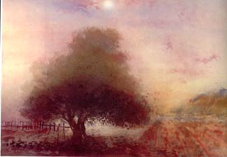 Kaiko Moti - Arbre Enchante - Limited Edition Aquatint Etching