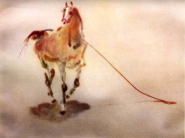 Kaiko Moti - Cheval De Face - Limited Edition Aquatint Etching