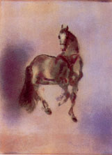 Kaiko Moti - Cheval Dress - Limited Edition Aquatint Etching