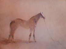 Kaiko Moti - Cheval Tranquille - Limited Edition Aquatint Etching