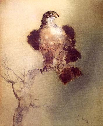 Kaiko Moti - Falcon - Limited Edition Aquatint Etching