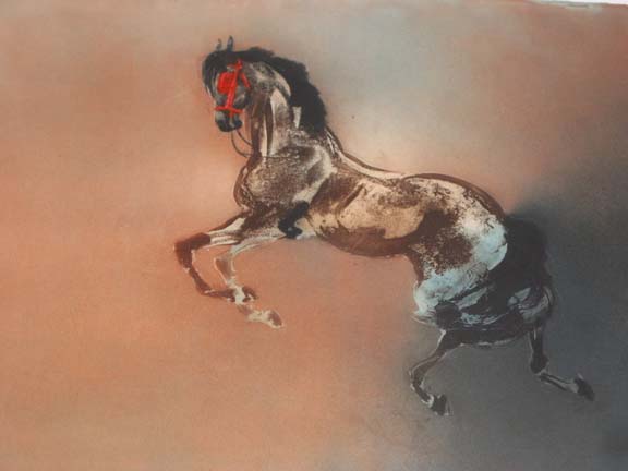 Kaiko Moti - Horse With Orange Bit - Limited Edition Aquatint Etching