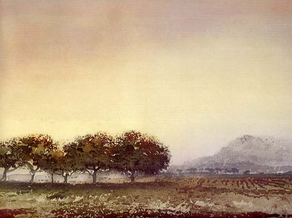 Kaiko Moti - Les Oliviers - Limited Edition Aquatint Etching