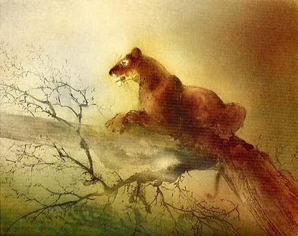Kaiko Moti - Lioness - Limited Edition Aquatint Etching