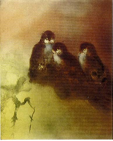 Kaiko Moti - Owl Light - Limited Edition Aquatint Etching