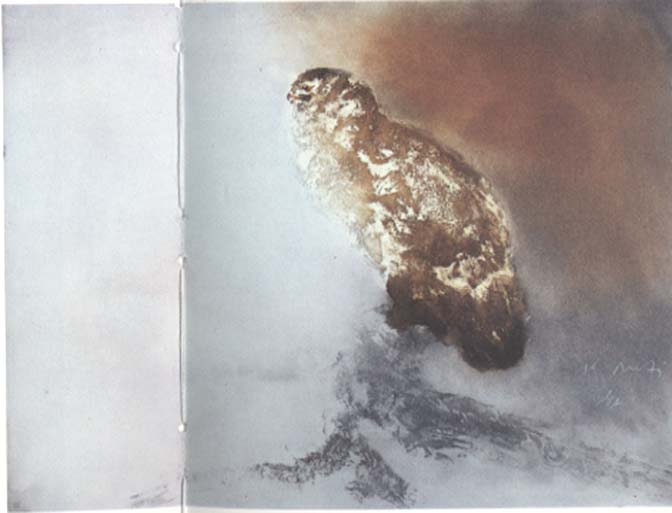Kaiko Moti - Snow Owl - Limited Edition Aquatint Etching
