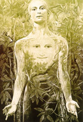 GH Rothe - Daphne's Transformation - Limited Edition Mezzotint
