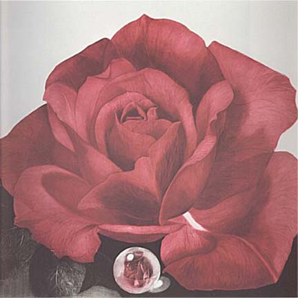 GH Rothe - Glass Rose - Limited Edition Mezzotint