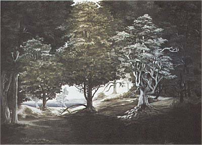 GH Rothe - Secret Place - Limited Edition Mezzotint