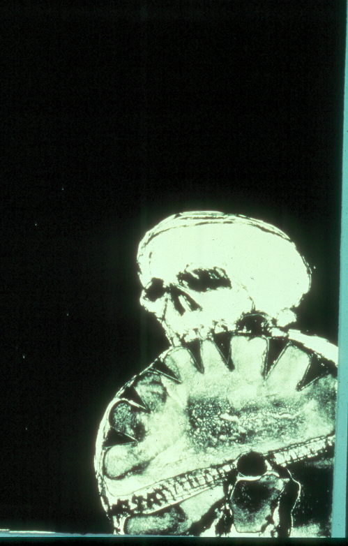 Fritz Scholder - Anpao Death - Limited Edition Lithograph