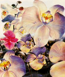 Brett Livingstone Strong - Orchids - Limited Edition Serigraph