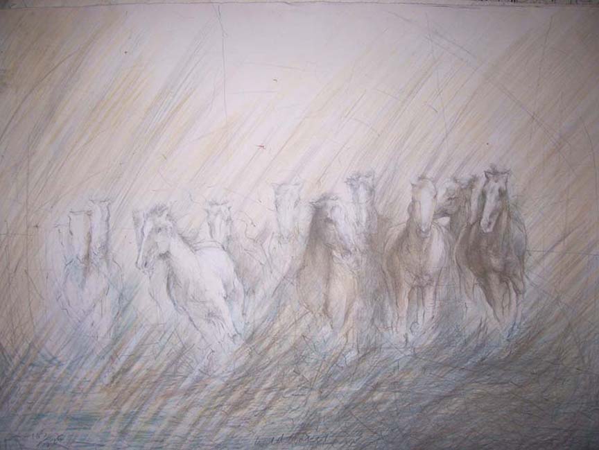 Janet Treby - Wild Horses I - Limited Edition Lithograph