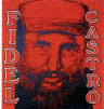 steve kaufman Castro